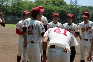 line_240458851196652