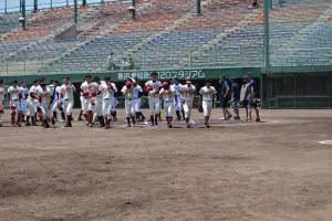 line_241733344855233